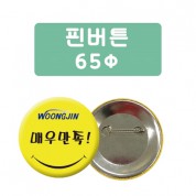 핀버튼 65파이