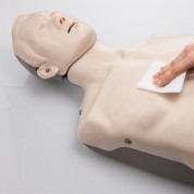 브레이든 일반형 응급구조 심폐소생술 CPR 마네킹