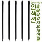 인젝션 흑목육각지우개연필