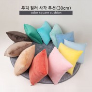 무지 컬러 사각 쿠션 30cm - 11color